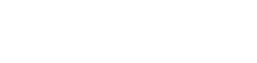 Veilup Logo
